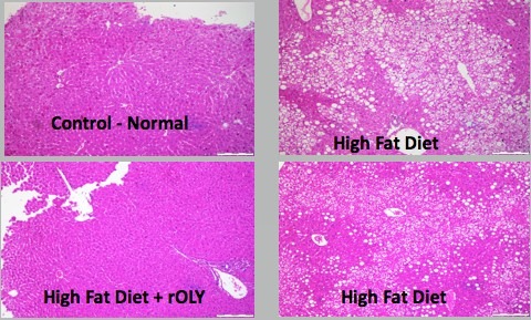 image035betty image035betty