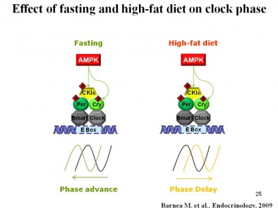 fasting