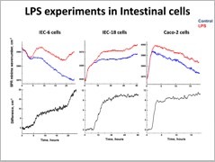 image020betty image020betty