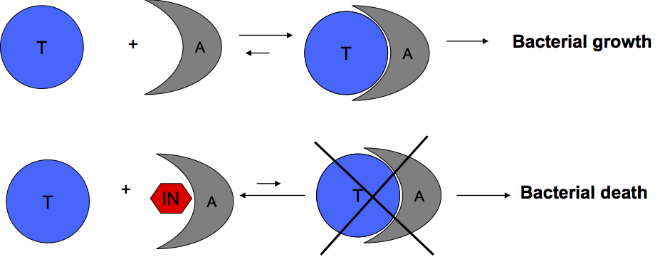 fig2zvi